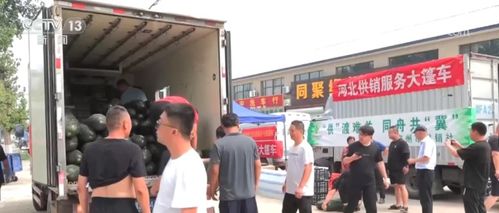 河北涿州 企业陆续复工复产 生产生活秩序加快恢复